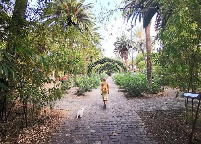 Home2book Bright Center Cruz * Santa Cruz de Tenerife