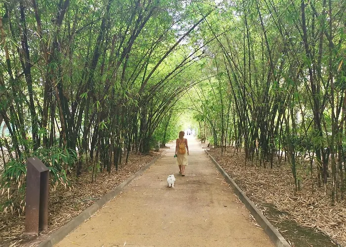 Appartement Home2book Bright Center Cruz Santa Cruz de Tenerife